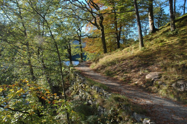 Wentworth - B51 - Path at Penny Rock Grasmere - 40 Piece Wooden
