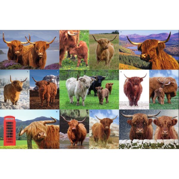 Sawley Fine Arts - JP008 - Highland Cows - 1000 Piece