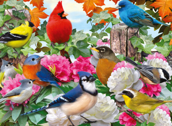 Ravensburger - 14223 - Garden Birds (Howard Robinson) - 500 Piece